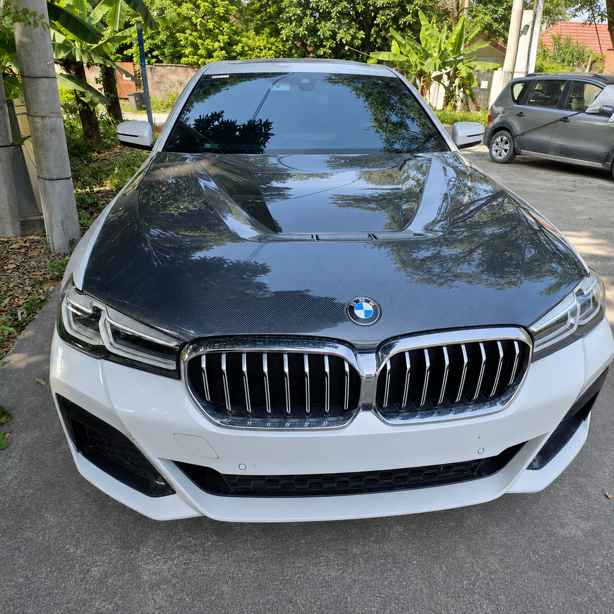 2017-2023 BMW 5-Series/M5 GTS Style Carbon Fiber Hood | G30/G31/F90