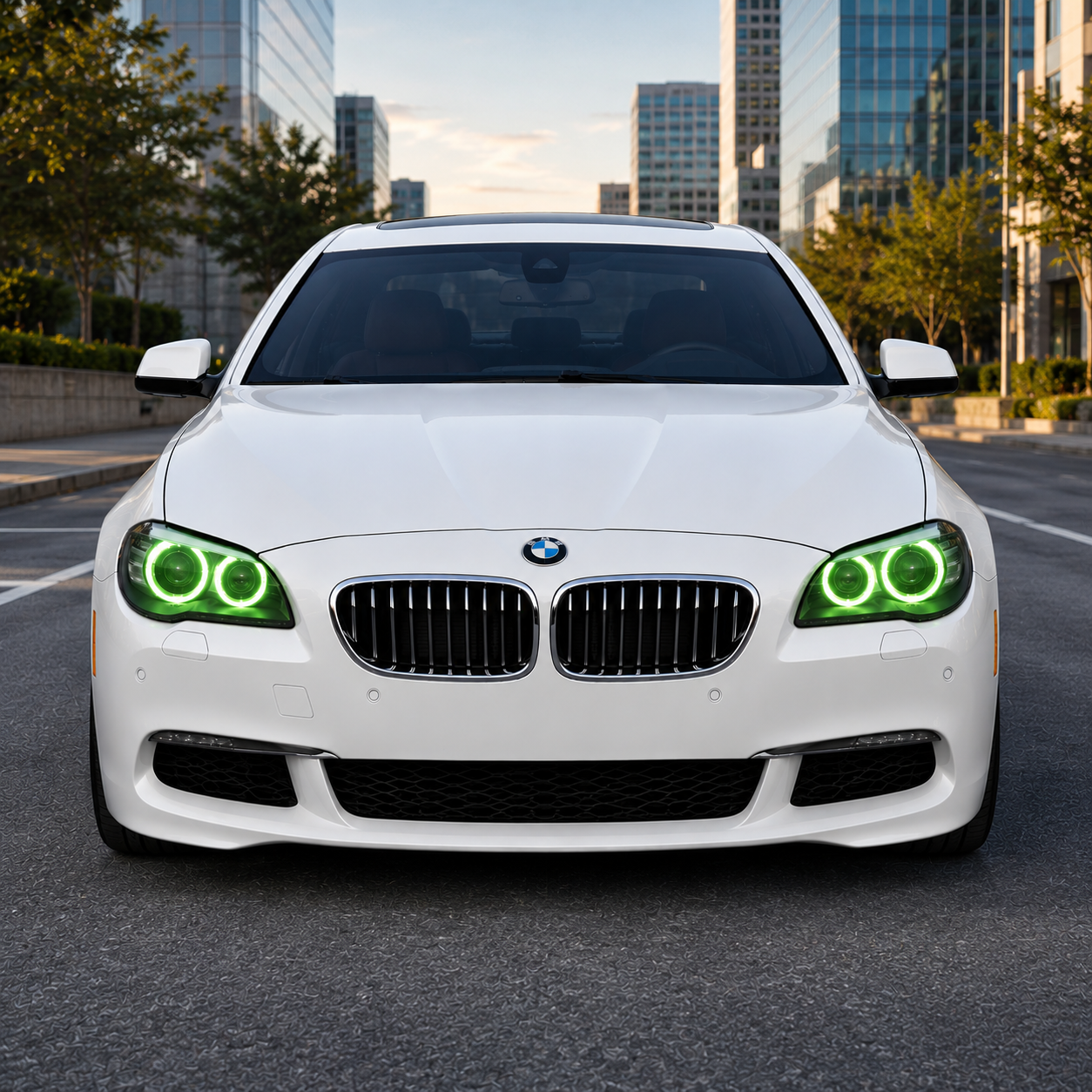 2012-2019 BMW 6-Series/M6 Headlights RGB DRL Modules | F06/F12/F13