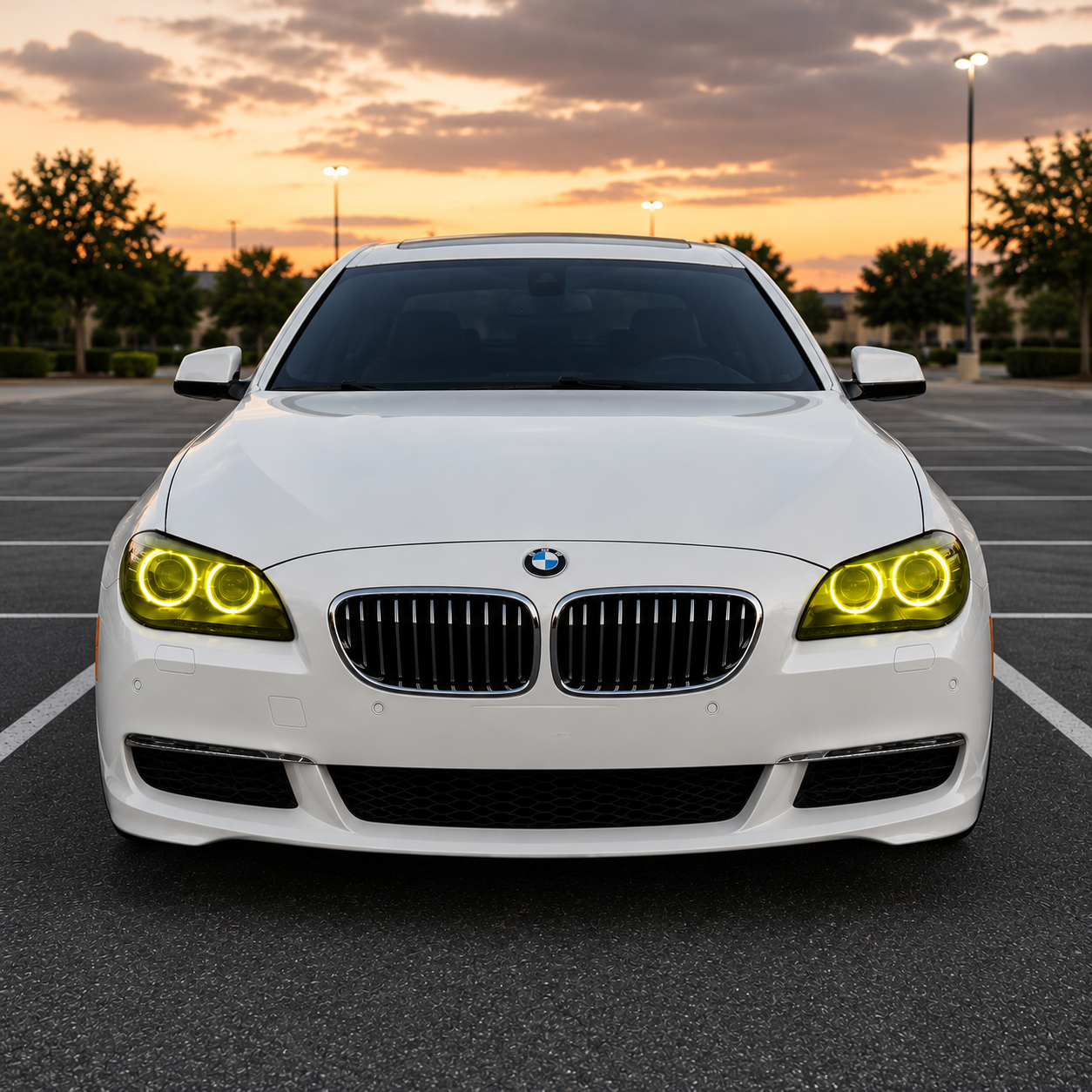 2012-2019 BMW 6-Series/M6 Headlights RGB DRL Modules | F06/F12/F13