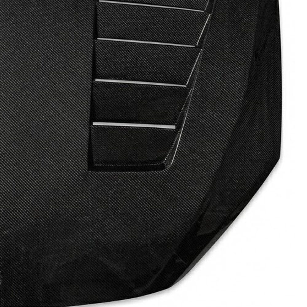 2013-2015 BMW X1 V Style Carbon Fiber Hood | E84