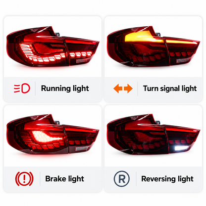 2014-2020 BMW 3-Series GTS OLED Style LED Taillights | F34