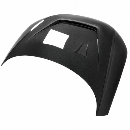 2016-2023 Audi TT/TTS/TTRS Carbon Fiber Hood I MK3 8S