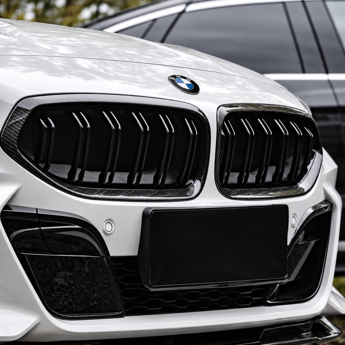 2019-2026 BMW Z4 Dual Slat Kidney Grilles | G29