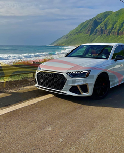 2020+ Audi Rs4 Honeycomb Grille | B9.5 A4/s4