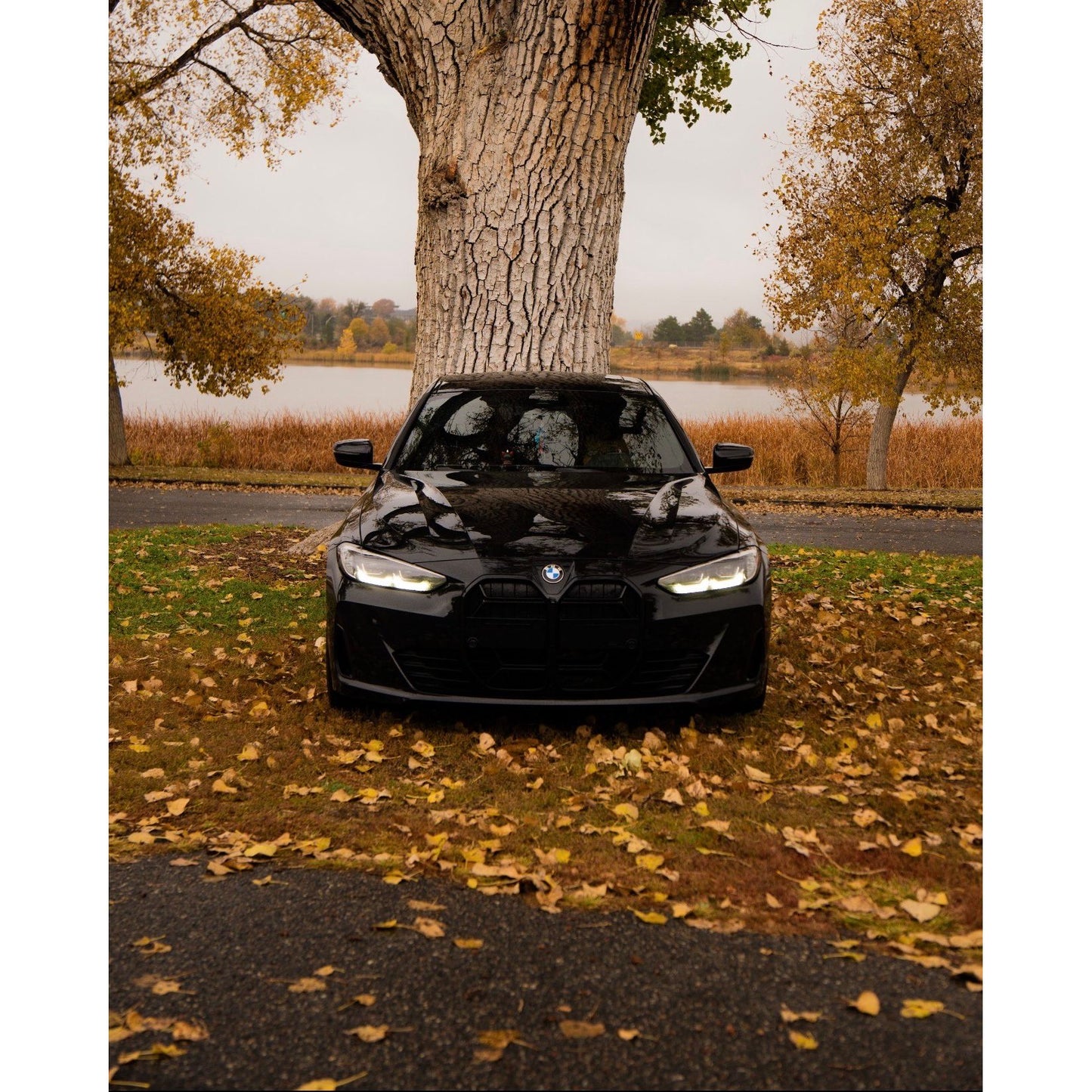 2021+ BMW 4-Series Gloss Black CSL Style Kidney Grilles | G26