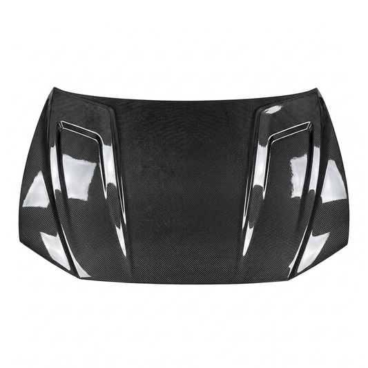 2019-2025 Audi RS6 PK Style Carbon Fiber Hood | C8