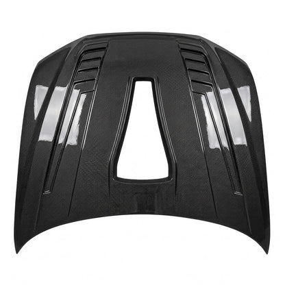 2019-2025 Audi RS6 Glass Engine Cover Carbon Fiber Hood | C8
