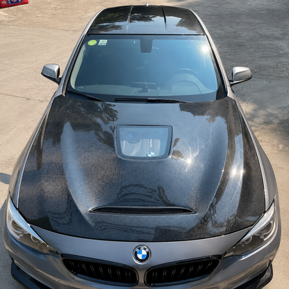 2014-2020 BMW 3-Series Glass Engine Cover Carbon Fiber Hood | F34