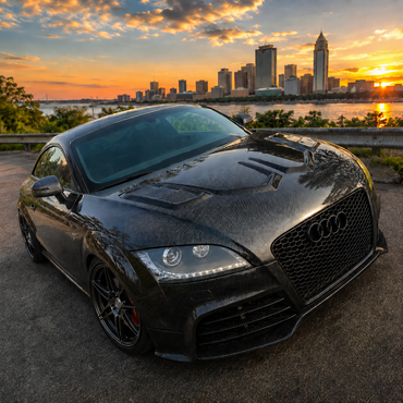 2008-2015 Audi TT/TTS/TTRS D Style Carbon Fiber Hood | MK2 8J