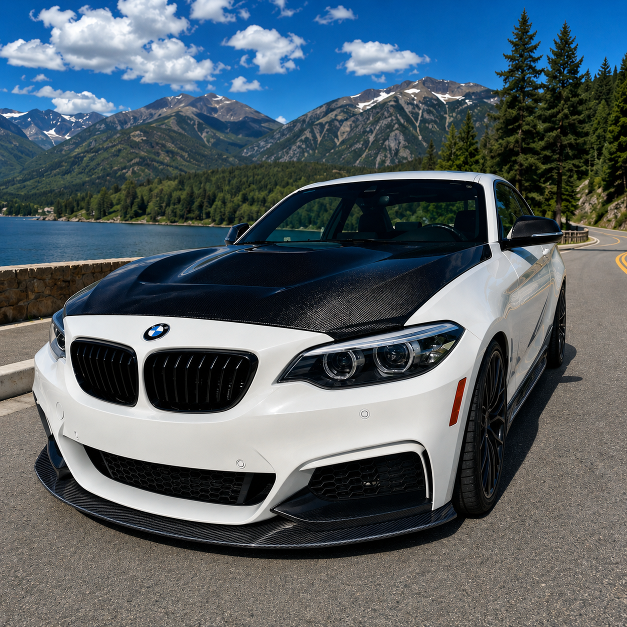2014-2021 BMW 2-Series/M2 CS Style Carbon Fiber Hood | F22/F23/F87