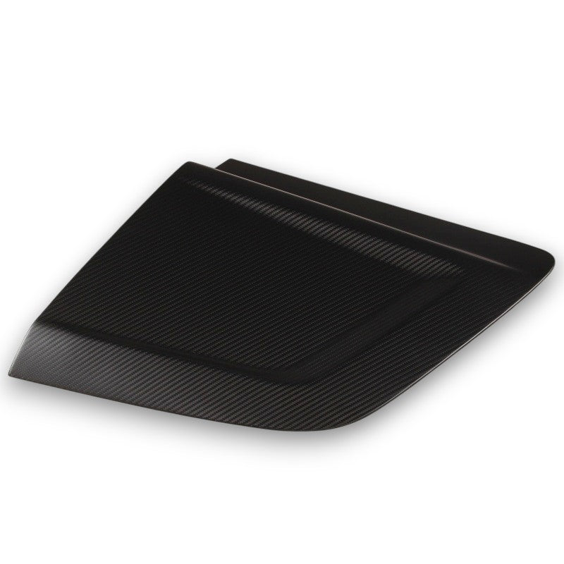 2019-2024 Audi R8 Carbon Fiber Side Blades I MK2 Gen 2 Facelift