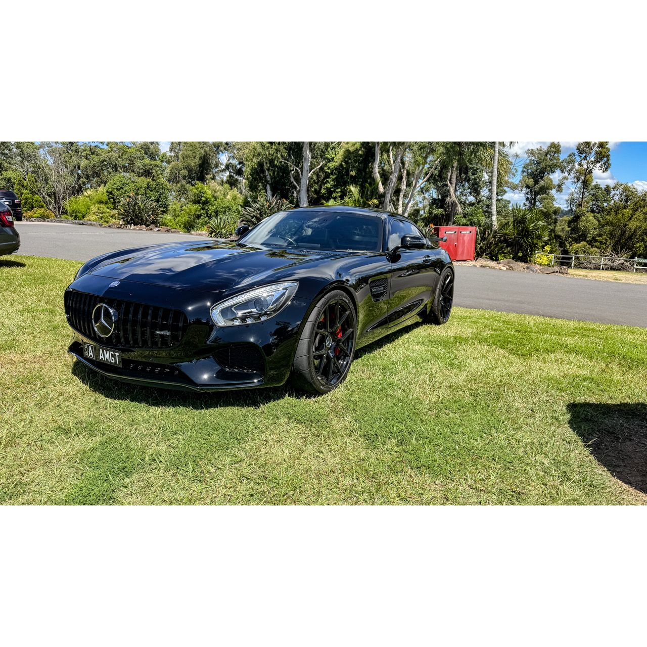 2015-2017 Mercedes-Benz AMG GT GTR Style Front Grille | C190