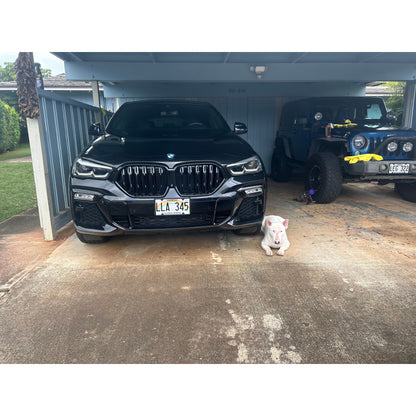 2019-2023 BMW X6/X6M Dual Slat Kidney Grilles | G06/F96