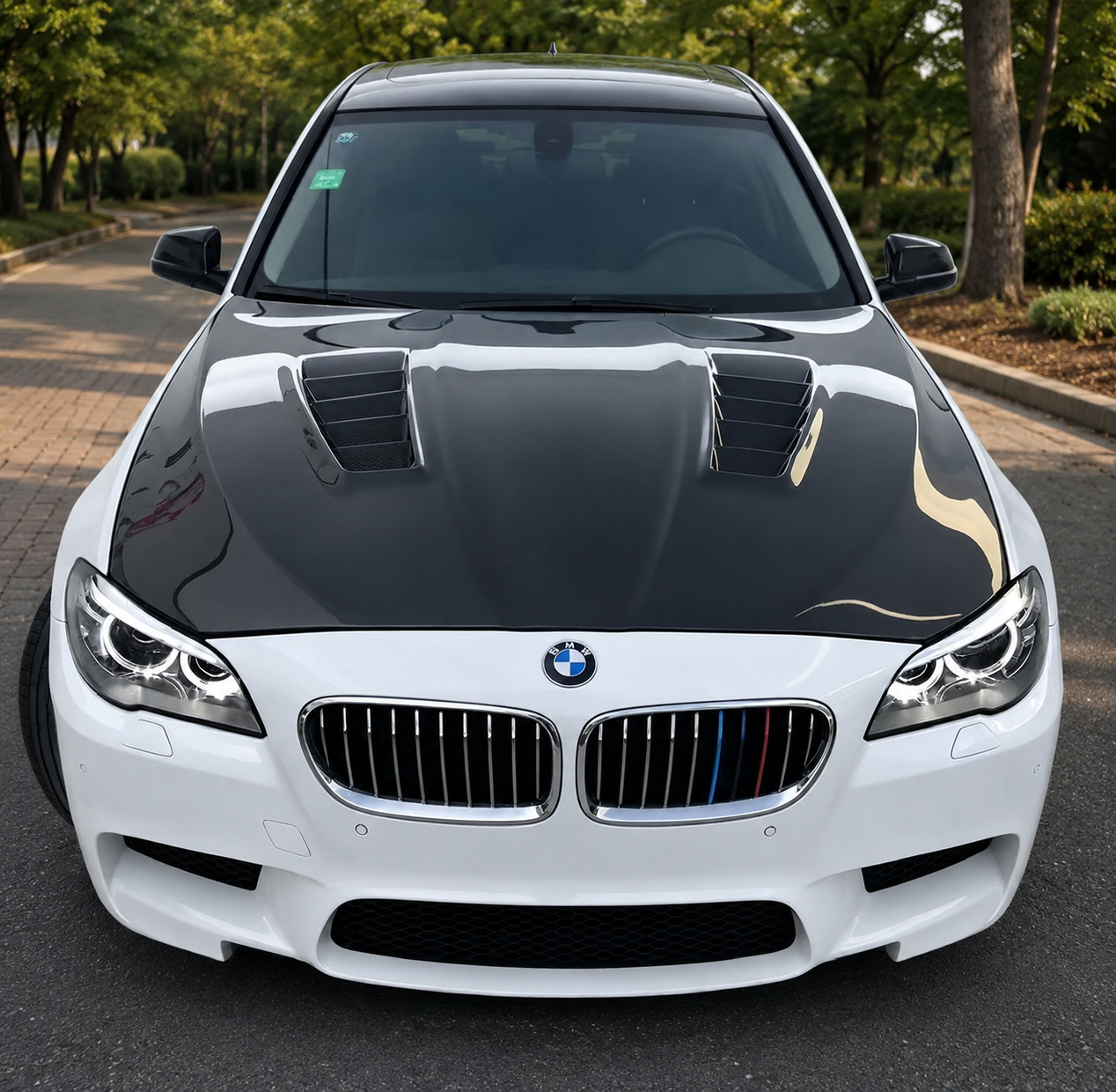 2011-2017 BMW 5-Series/M5 DT Style Carbon Fiber Hood | F10/F11